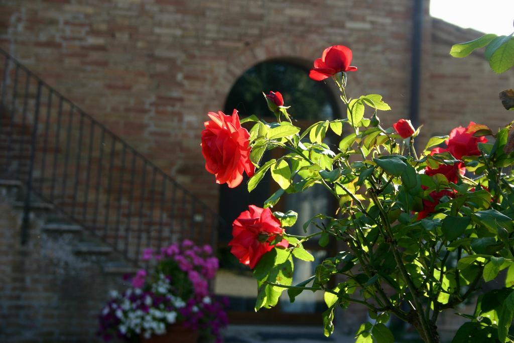 Fattoria Armena Βίλα Buonconvento Εξωτερικό φωτογραφία