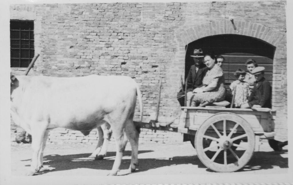 Fattoria Armena Βίλα Buonconvento Εξωτερικό φωτογραφία